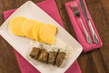 Grape leaf rolls on a traditional background