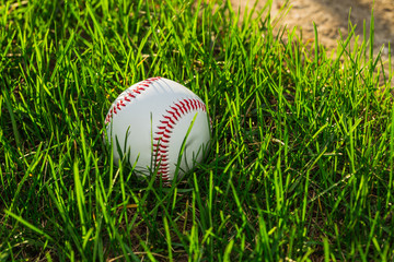 Baseball Ball on Grass Field