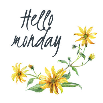 watercolor branch yellow flowers, hello monday