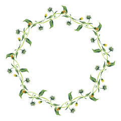 Watercolor wreath or garland. Green leaves and yelloow flowers on white background. Can be used as invitation or greeting card, print, your banner or logo.
