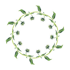 Watercolor wreath or garland. Green leaves on white background.