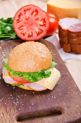 Sandwich and Ingredients. Food. Fresh & healthy food. Concept