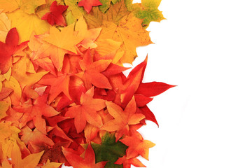 autumn leaves background