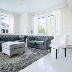 Classic furniture in modern, new house, horizontal