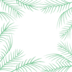 Green palm leaves  isolated on white background.