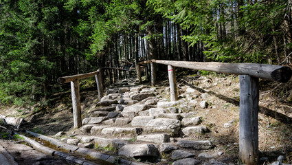 Szlak na Morskie Oko, Zakopane © martabialonoga