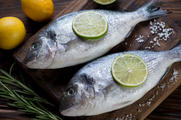 Close-up of raw fresh seasoned dorado fish, studio shot
