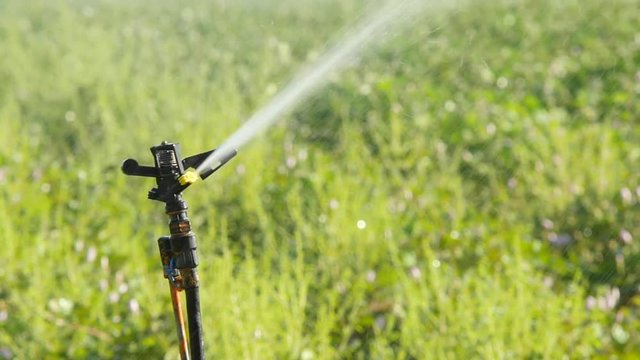 Sprinkler in the green field 96fps