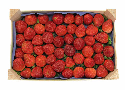 Erdbeeren, Fragaria, Obststiege
