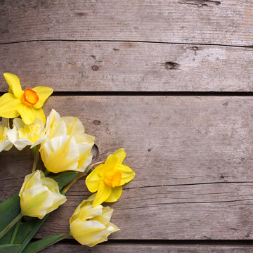 Fresh yellow tulips and daffodils flowers  on vintage wooden bac