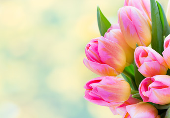 Obraz premium Spring flowers. Tulip bouquet on the bokeh background.