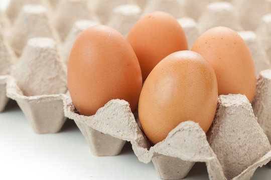 Close up of  eggs on egg rag. Egg cartons packing. on white background