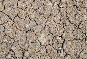 Cracked earth