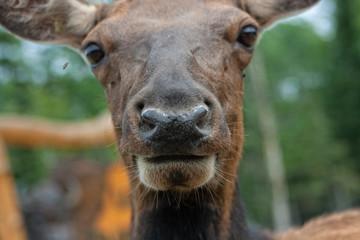 Fototapeta premium Up close and personal.