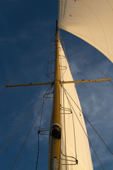 Fototapeta premium Mast mit Großsegel und Fok