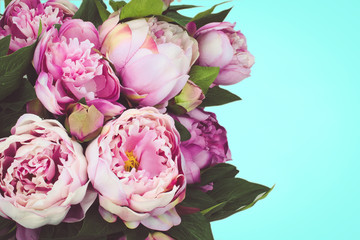 Bouquet pink peonies.
Cyan background with copy space.
Summer flowers celebration concept with colorful background.