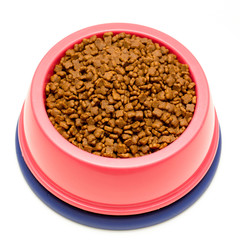 dry cat food in pink bowl isolated on white