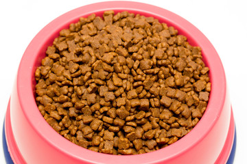 dry cat food in pink bowl isolated on white