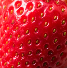 red strawberry texture background