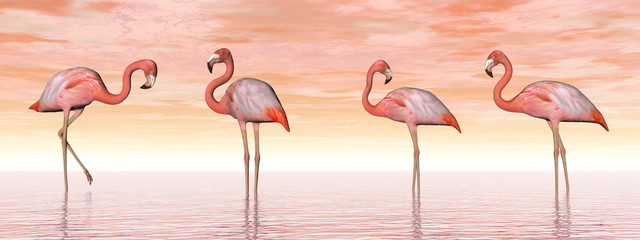 Fototapety  Różowe flamingi w wodzie - renderowanie 3D