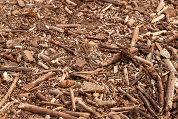 Wood texture background