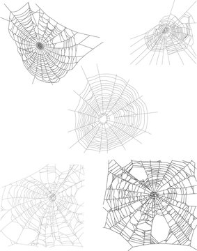five black webs collection