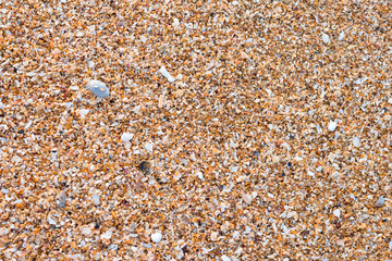 sand background texture