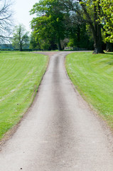 Fototapeta na wymiar Single track road through a field