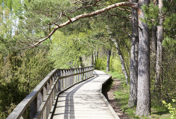 Fototapeta premium Wooden Path