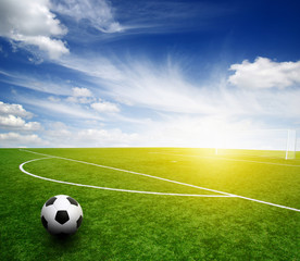 soccer ball on the grass