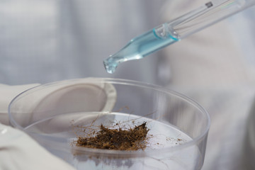 scientist pipetting fertilizes the earth