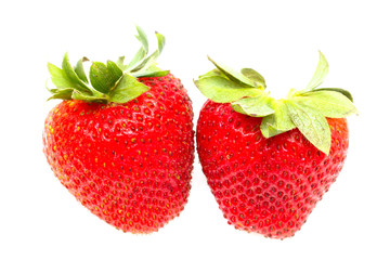 Strawberry on white background