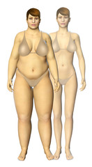 3d fat and thin woman before and after concept