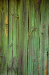 wood texture green abstract old