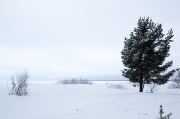 Fototapeta na wymiar Finnish Gulf in winter