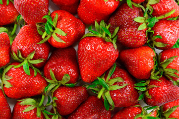 Lots of juicy strawberries