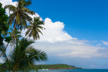 Fototapeta na wymiar Tropical island in the Indian Ocean.