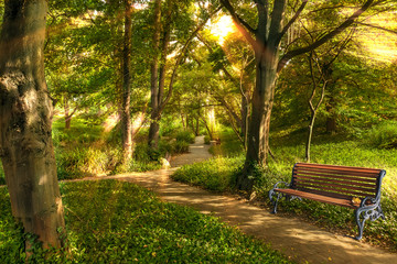 Park ,bench in the morning light.