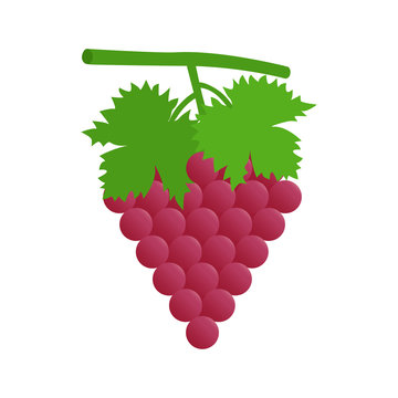 Flat icon red grape with leaves. Vector illustration.