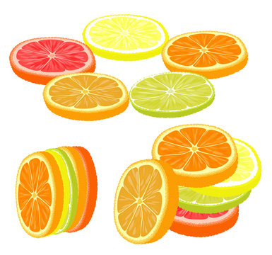 Slices of different citrus fruits on a white background.