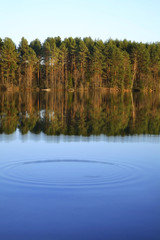 White Lake near Ostashkov. Tver region. Russia