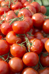 Red Tomato Background