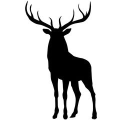 Obraz premium Black silhouette of a deer. Vector illustration