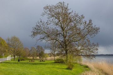 fields and meadows of Jutland