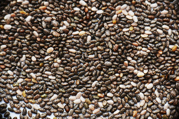 Chia seeds
