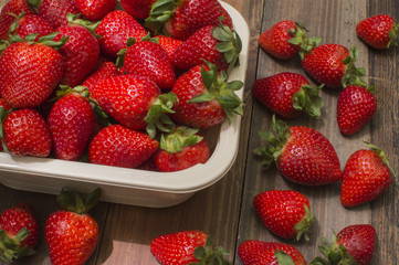 fresas frescas y maduras, fresas recien cosechadas