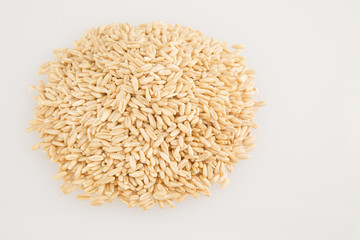 Grain of oats isolated on a white background