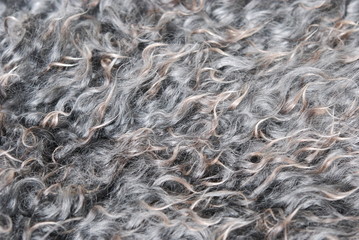 Texture grey wool