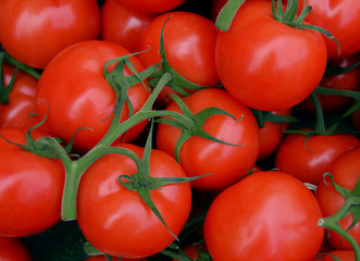 Fresh tomato in the market