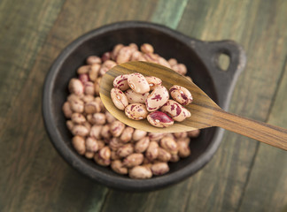 Pinto beans in bowl and wooden spoon - Phaseolus vulgaris